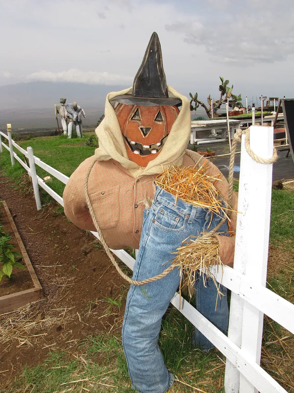 Calabaza de Halloween — foto real