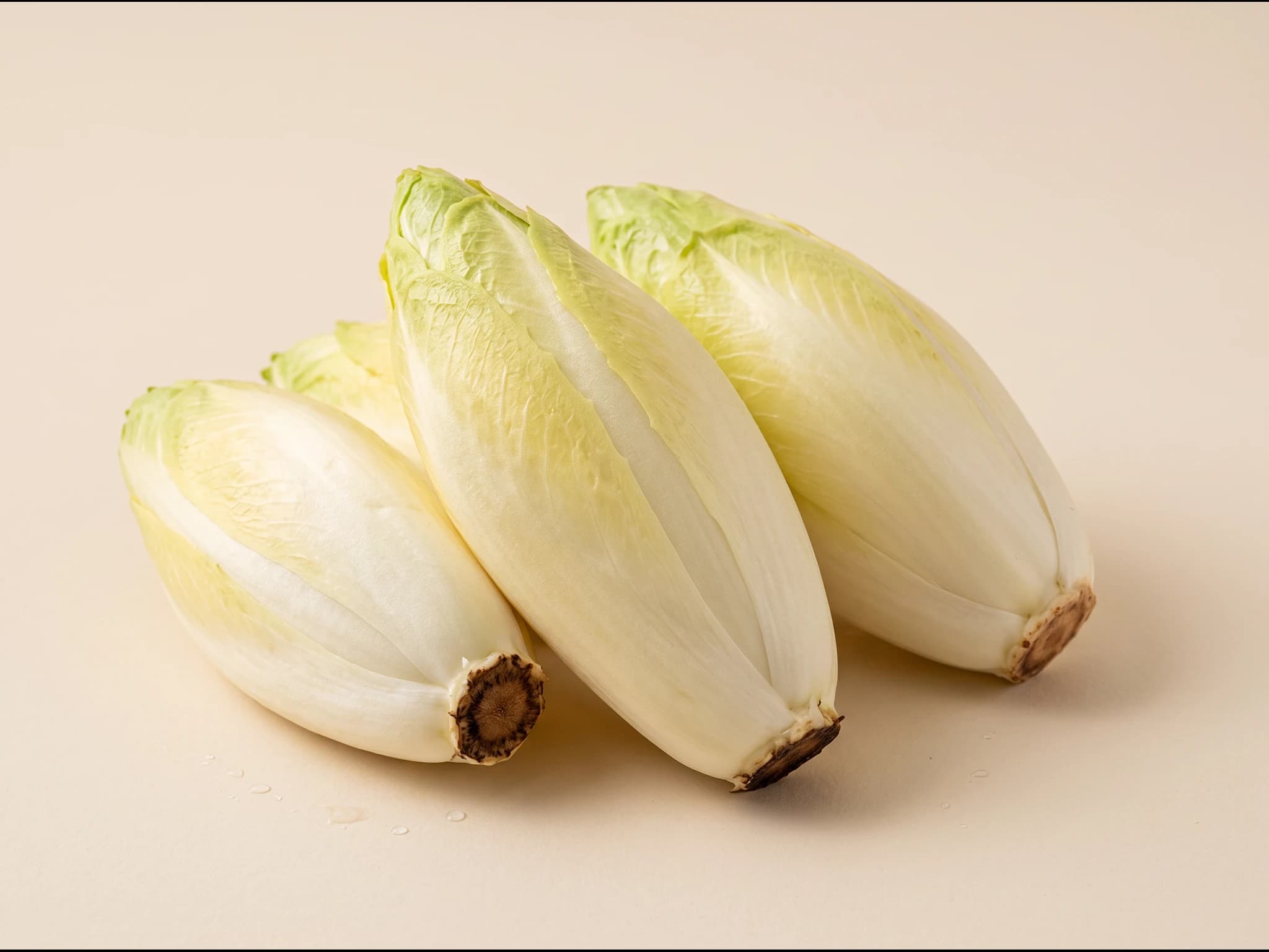 Endivia belga — fruto / cosecha (IA)