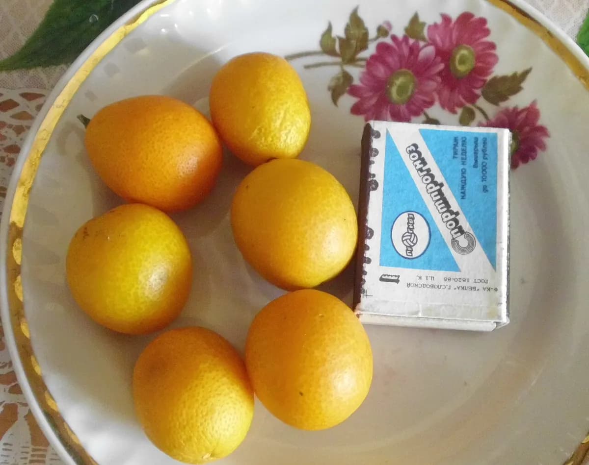 Kumquat (naranjo enano) — foto real