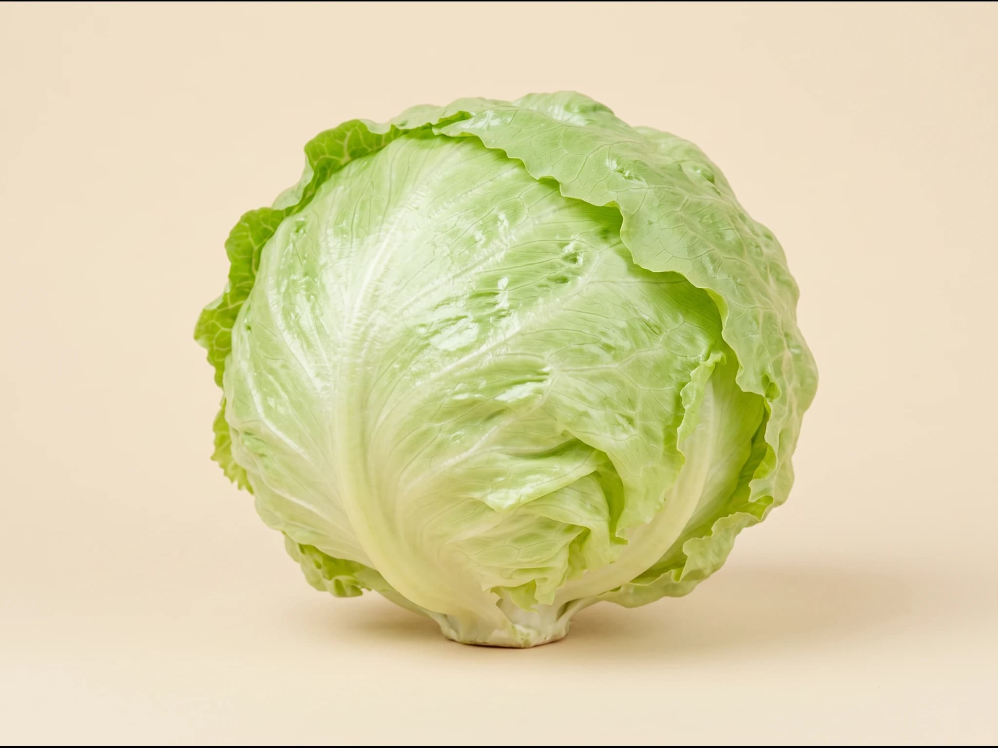 Lechuga iceberg — fruto / cosecha (IA)