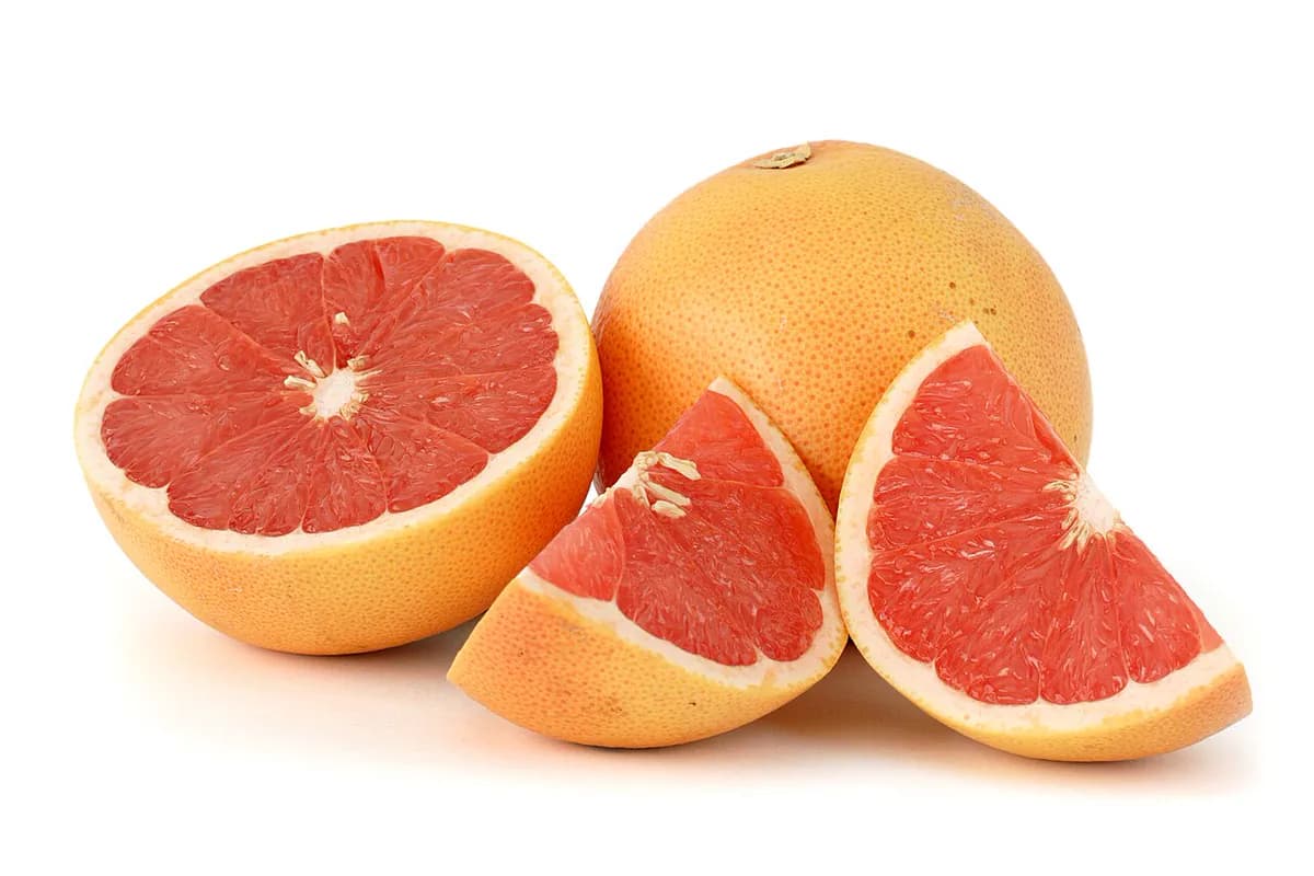 Limonero de las cuatro estaciones — foto real