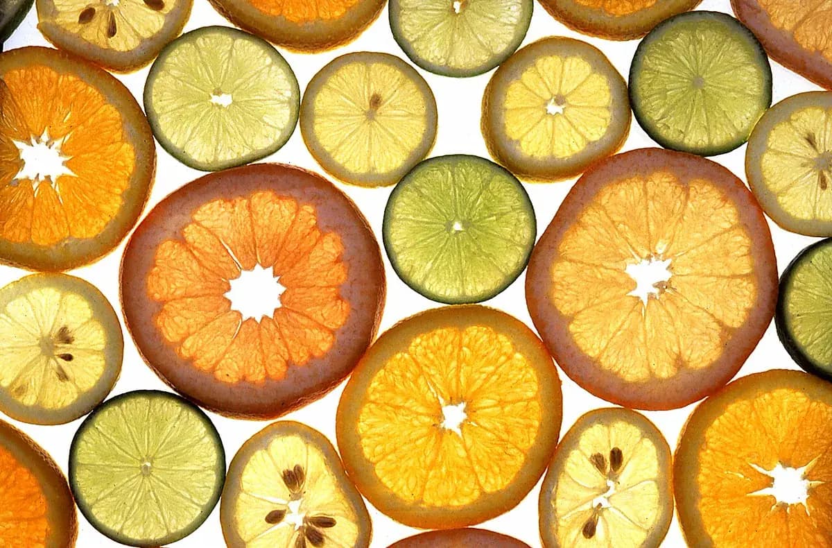 Limonero Verna — foto real