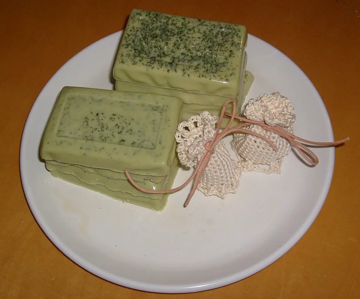Menta marroquí — foto real