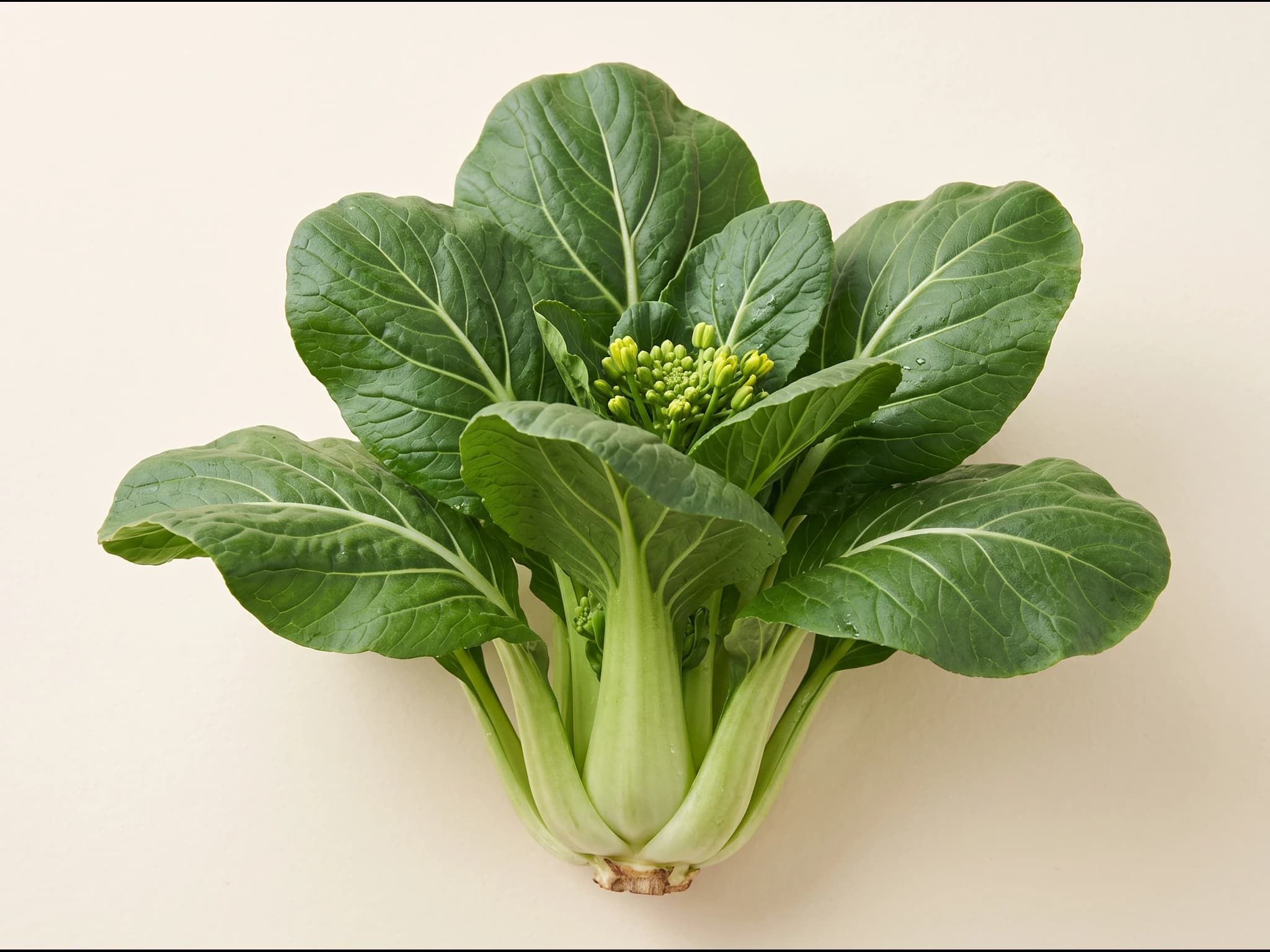 Pak choi — fruto / cosecha (IA)