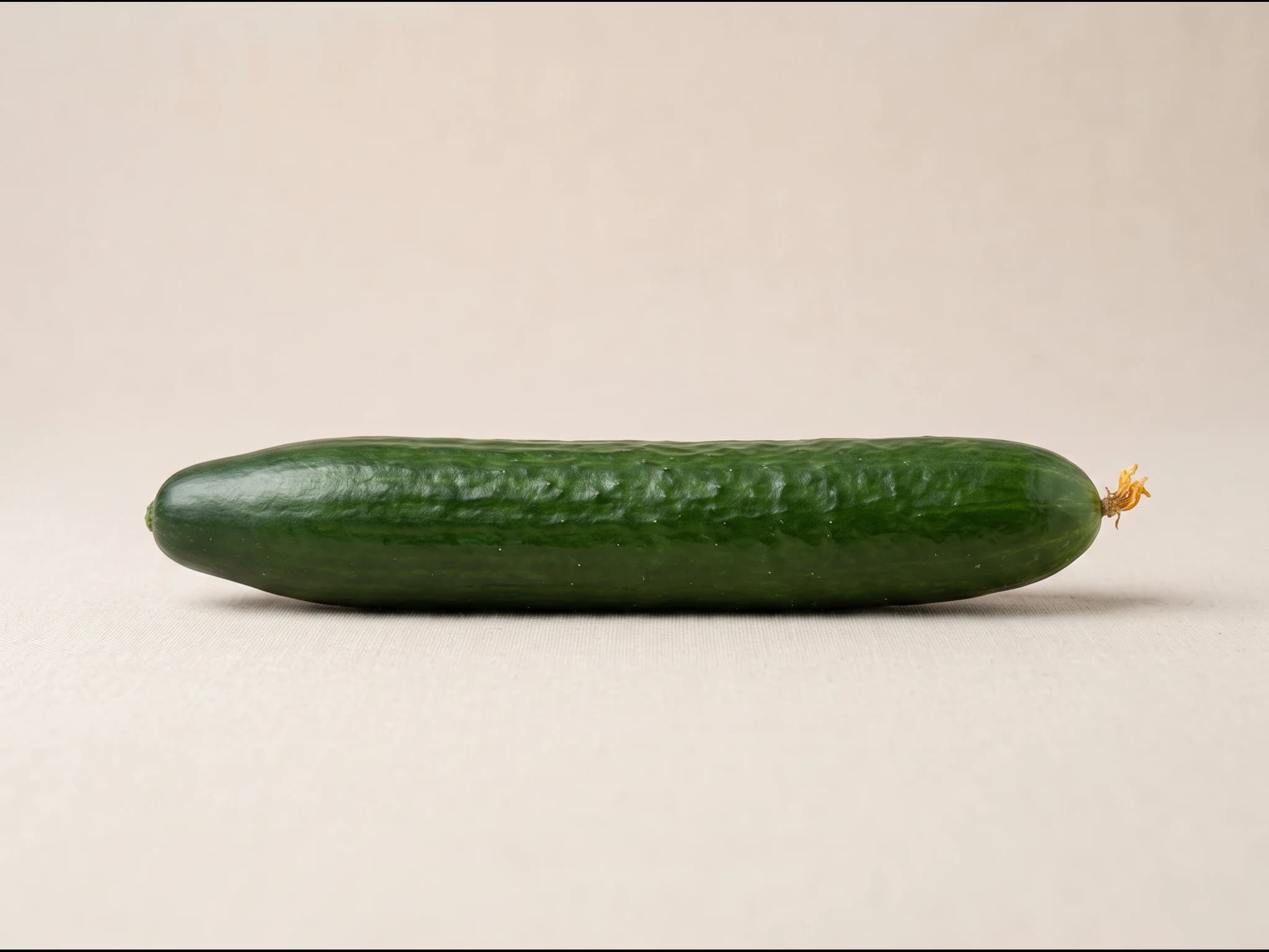Pepino holandes — fruto / cosecha (IA)