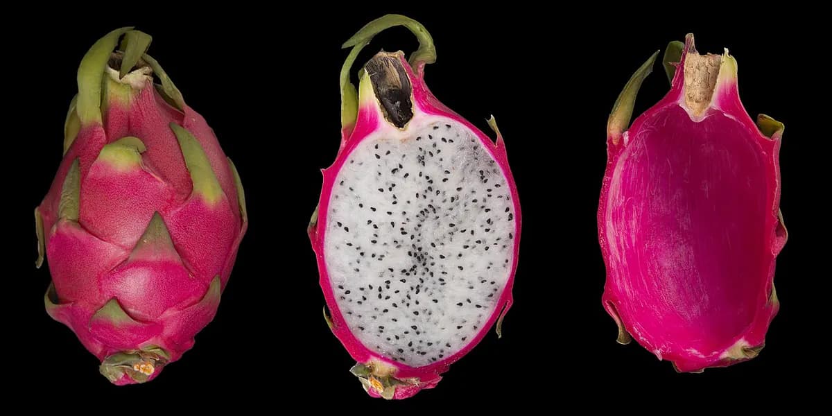 Pitaya (fruta del dragón) blanca — foto real