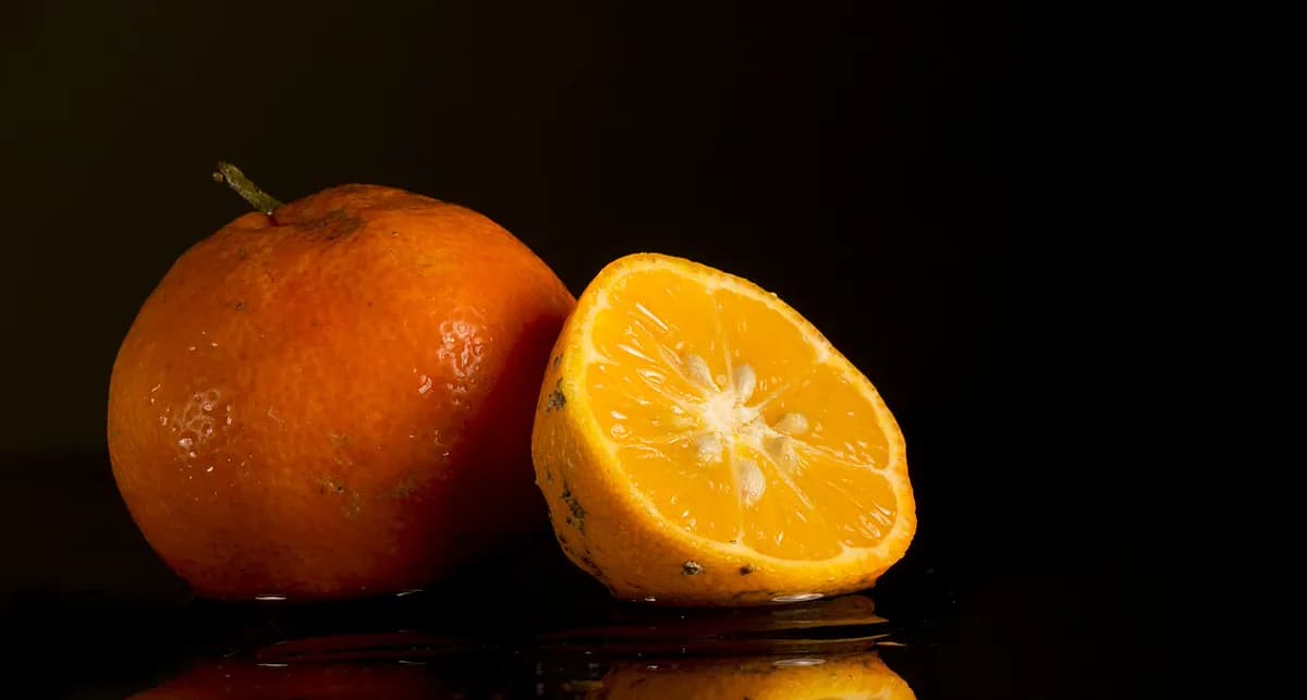 Pomelo Star Ruby — foto real