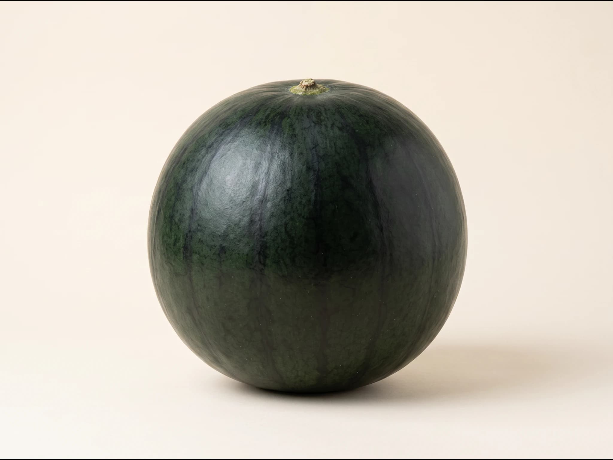 Sandia negra — fruto / cosecha (IA)