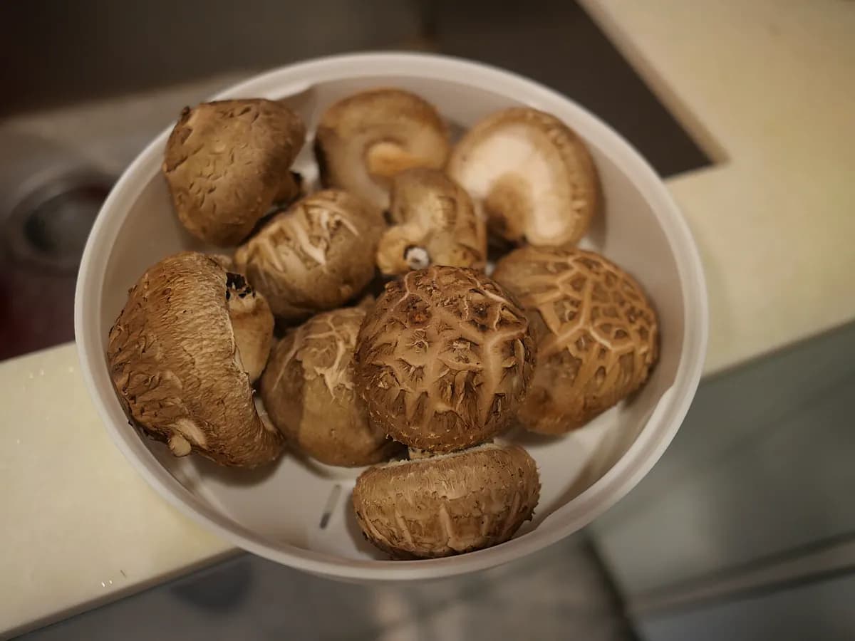Shiitake — foto real