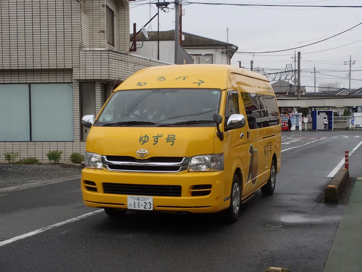 Yuzu — foto real