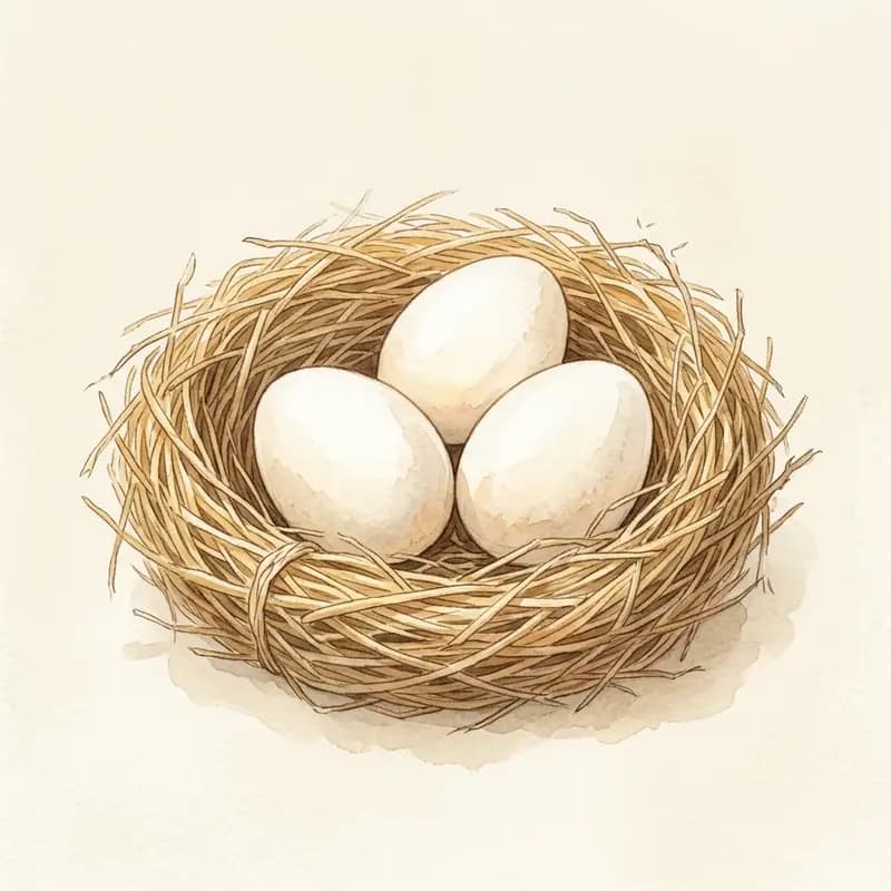 Huevos de Menorquina